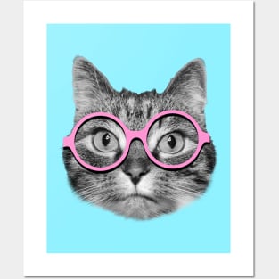 Cat wearing pink glasses Posters and Art